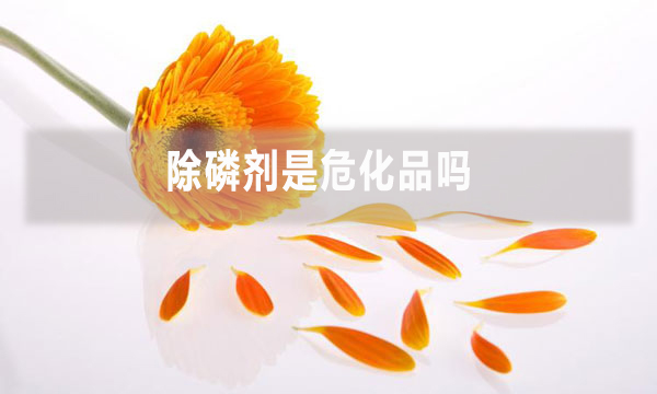除磷劑是?；穯?></div>
            </a></li>
          
        </ul>
        <div   id=