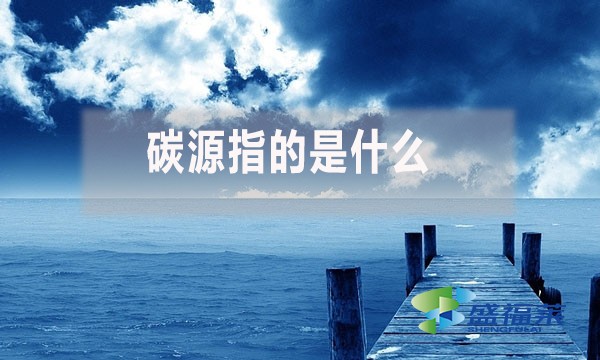 碳源指的是什么？
