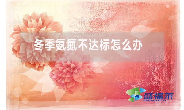 冬季氨氮不達標(biāo)怎么辦？