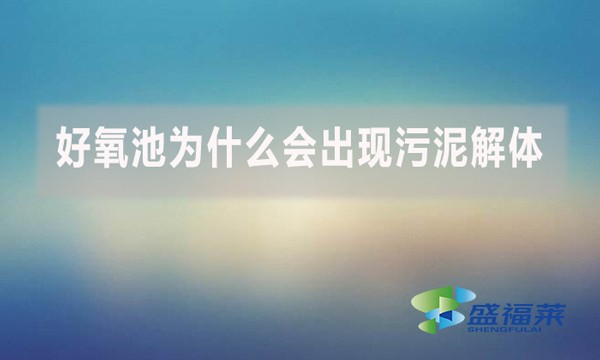 好氧池為什么會(huì)出現(xiàn)污泥解體？上清液細(xì)碎污泥多是怎么回事？