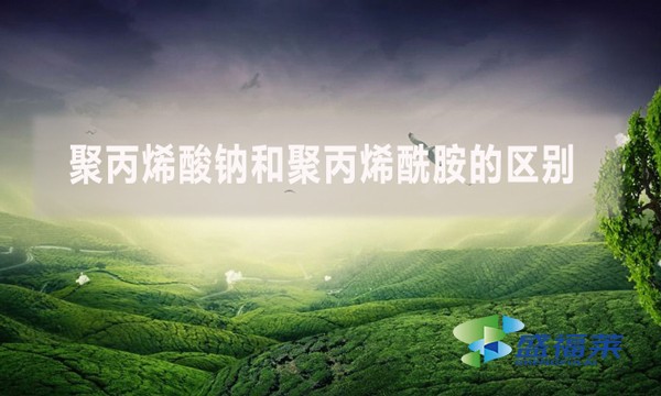 聚丙烯酸鈉和聚丙烯酰胺的區(qū)別？