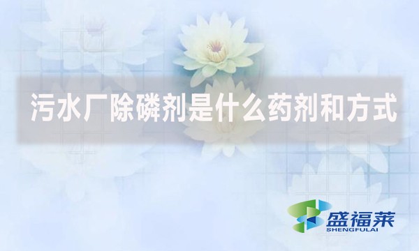 污水廠除磷劑是什么藥劑和方式？
