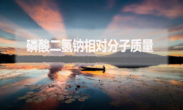 磷酸二氫鈉相對(duì)分子質(zhì)量是什么？應(yīng)該怎么算？