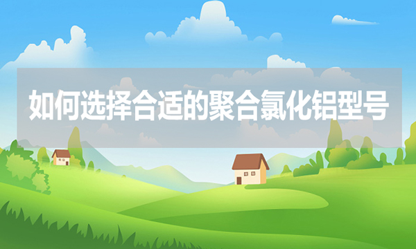 如何選擇合適的聚合氯化鋁型號(hào)？