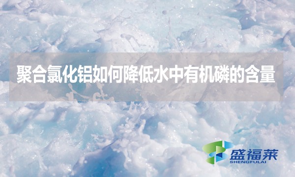 聚合氯化鋁如何降低水中有機(jī)磷的含量？