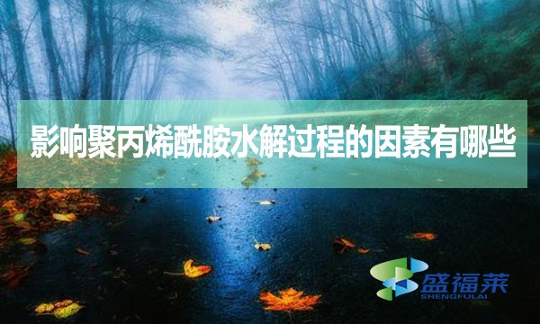 影響聚丙烯酰胺水解過程的因素有哪些？