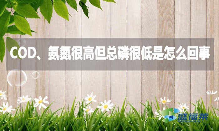 COD、氨氮很高但總磷很低是怎么回事